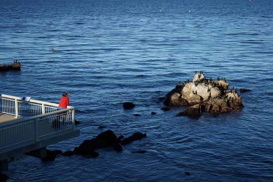 An ocean window