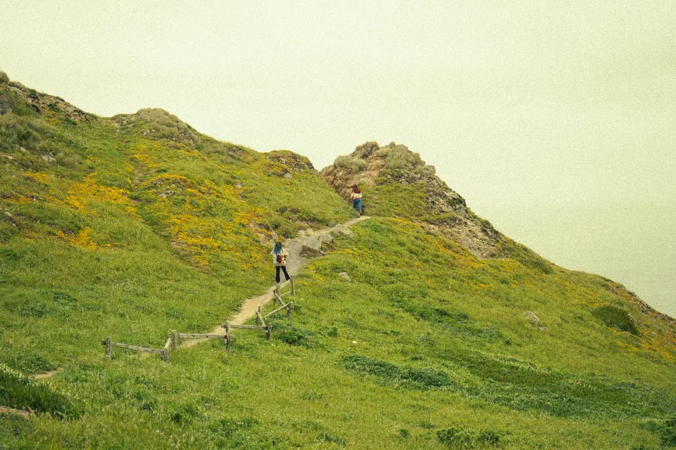 Along the headland