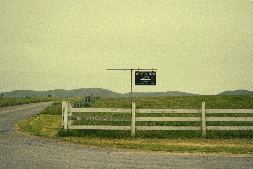 A line through the pasture