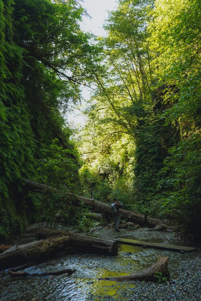 A green corridor