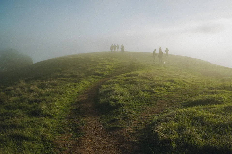 Inside the fog